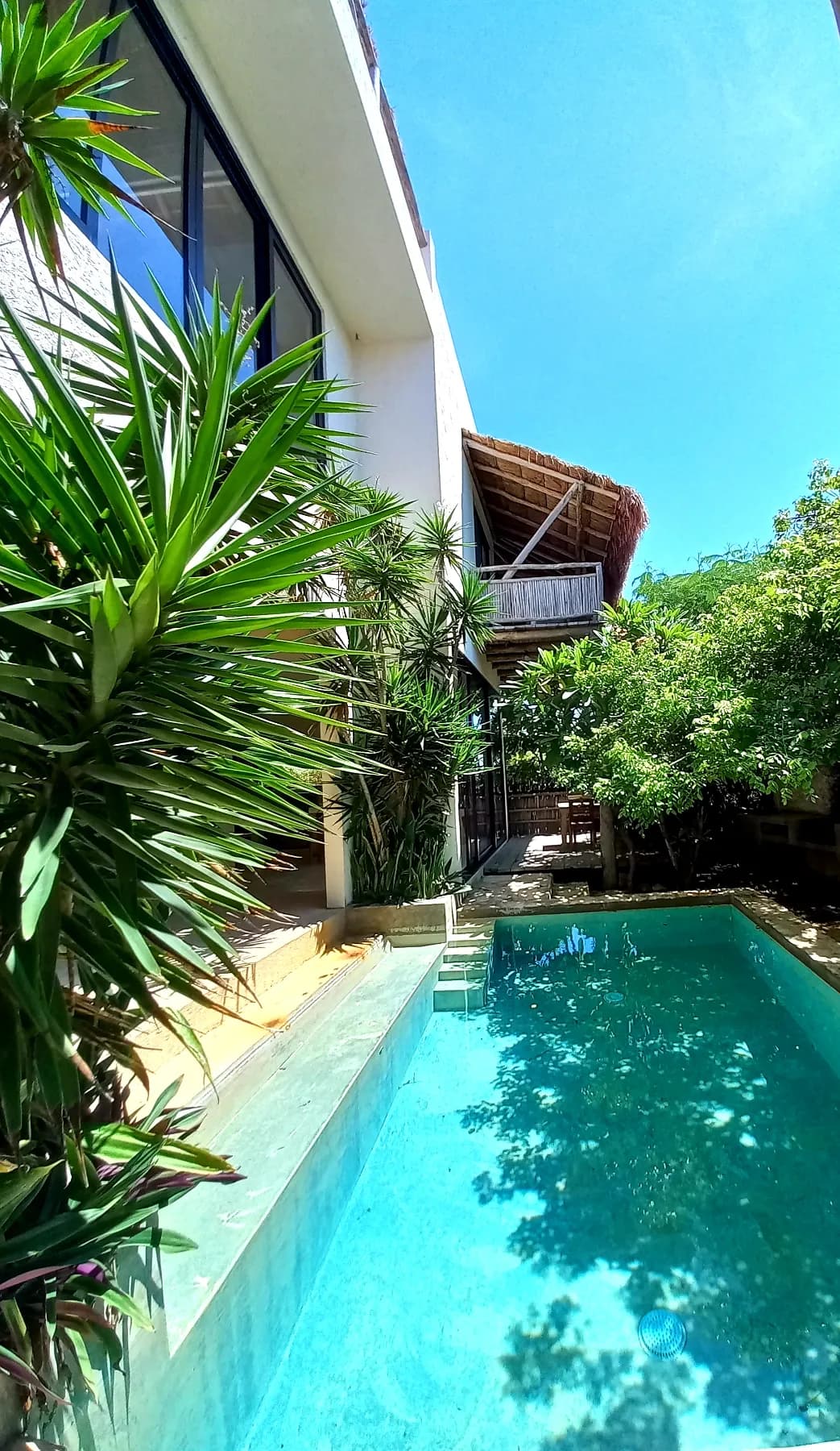 Residencia artística en Isla Mujeres: creá entre naturaleza y Caribe en Casa NALU