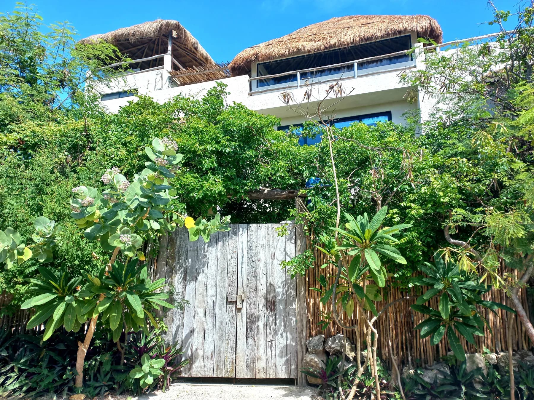 Residencia artística en Isla Mujeres: creá entre naturaleza y Caribe en Casa NALU