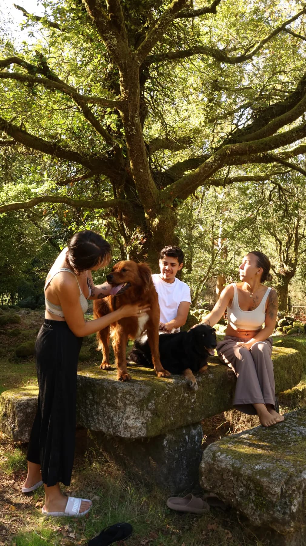 The Golden Jar - Creative Residency, Northern Spain , photo 10
