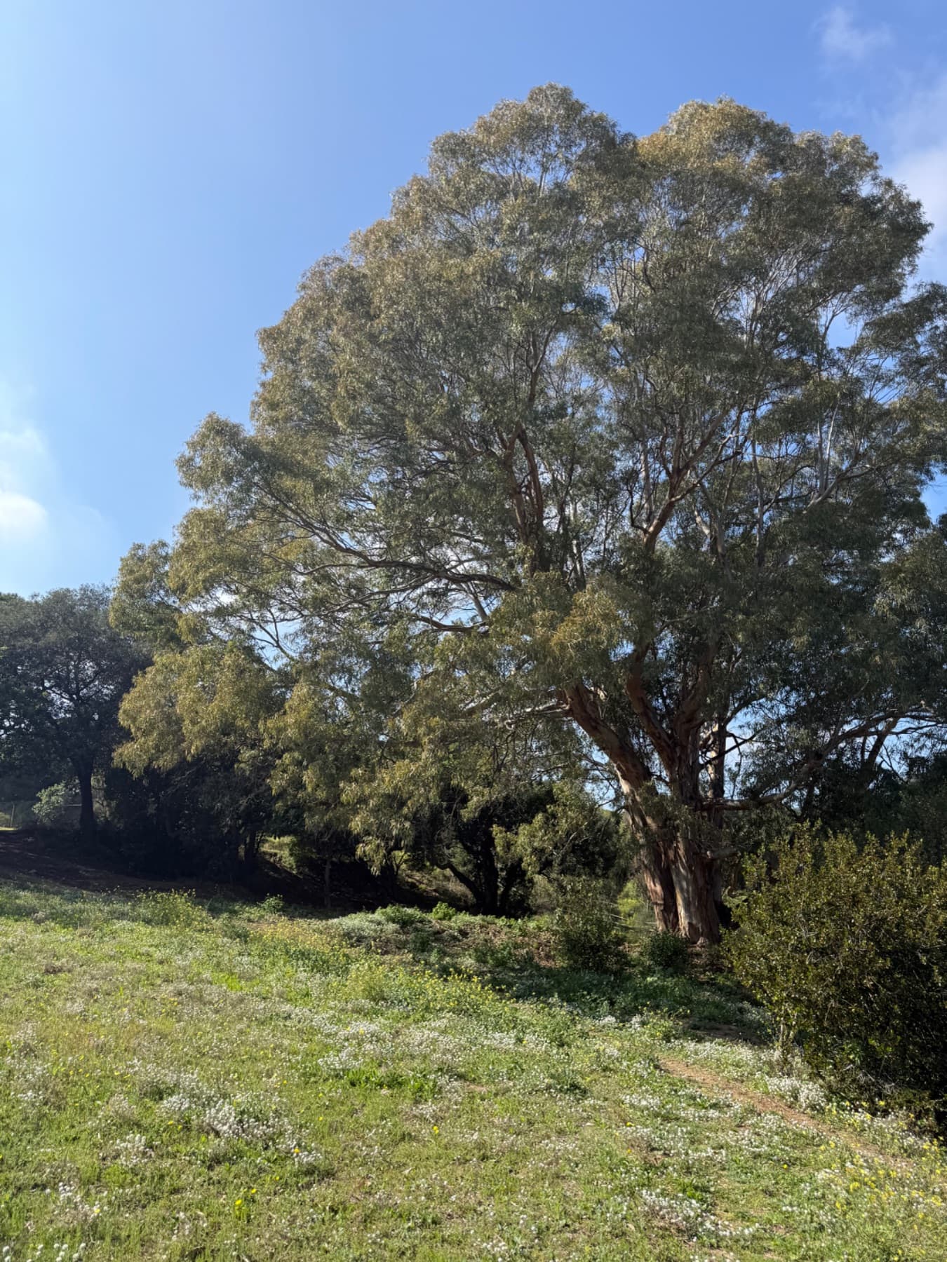 Independent Art Retreat Near Barcelona With Mountain and Mediterranean Views, photo 7