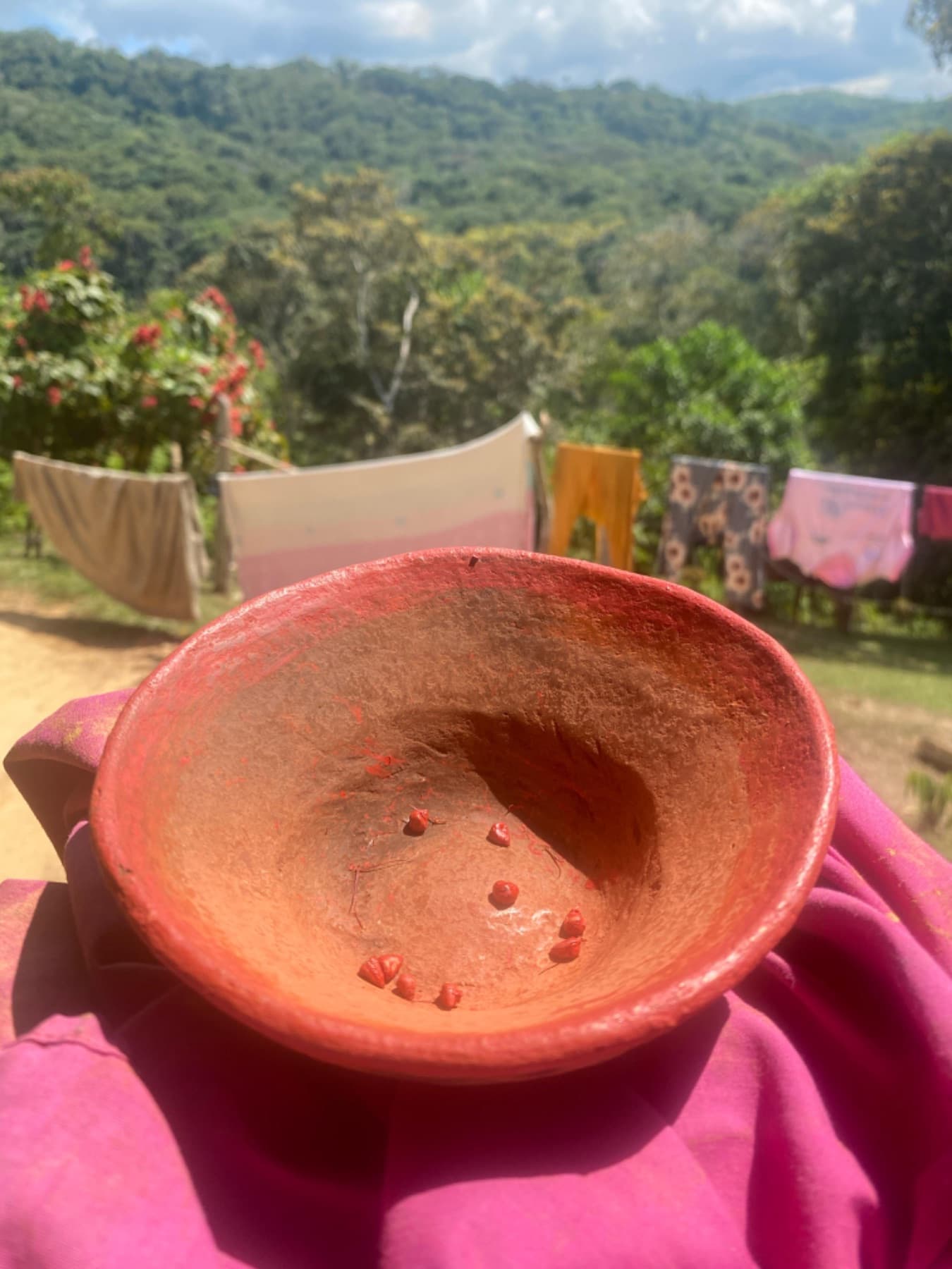 Collect and process natural pigments, photo 6