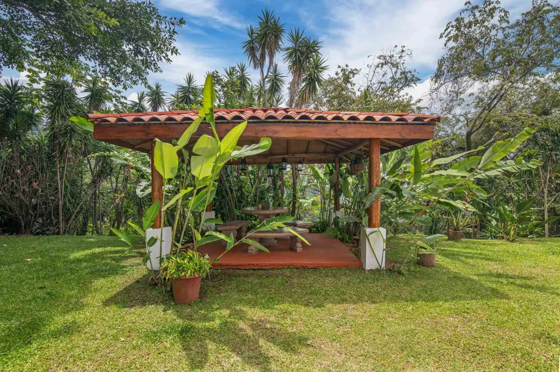 Monthly creative living on a Costa Rican mountain, photo 7
