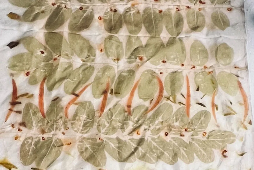 Eco-Printing Silk Scarf Workshop