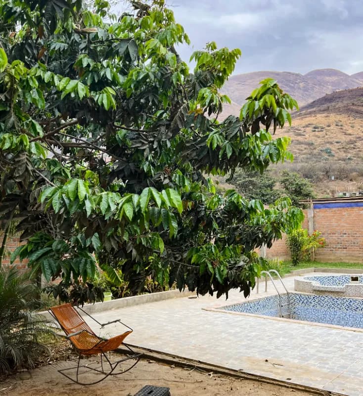Residency in the rural Peruvian Andes, photo 5