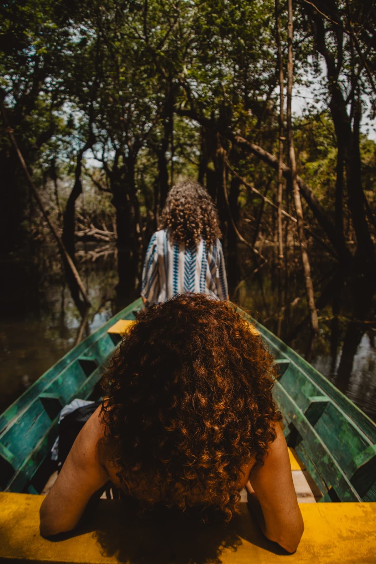 Amazônia — Amazon Multidisciplinary Art Residency, photo 1