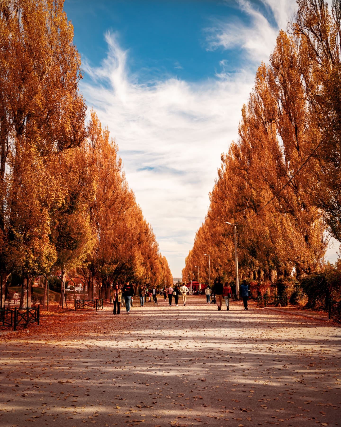 Patagonia Argentina 2027, photo 6