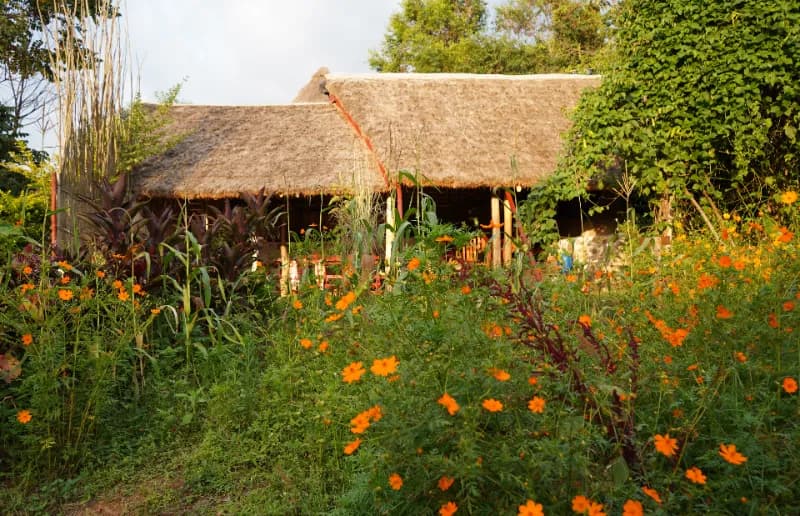 Kampi ya Lucki - Kakamega Forest Residency