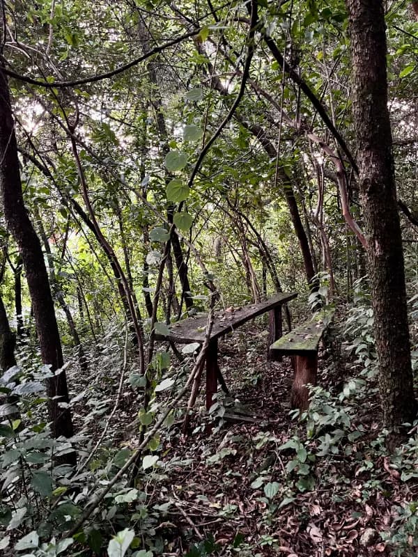 Kampi ya Lucki - Kakamega Forest Residency, photo 12