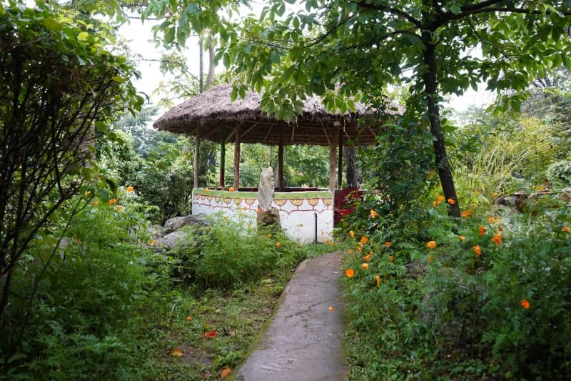 Kampi ya Lucki - Kakamega Forest Residency, photo 5