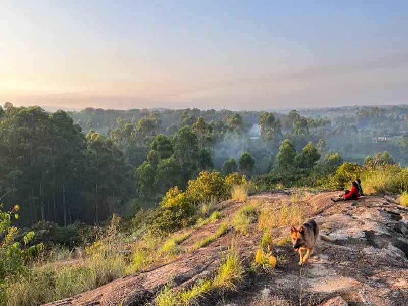 Kampi ya Lucki - Kakamega Forest Residency