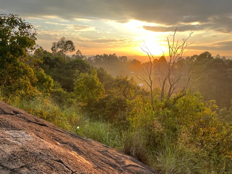 Kampi ya Lucki - Kakamega Forest Residency, photo 6