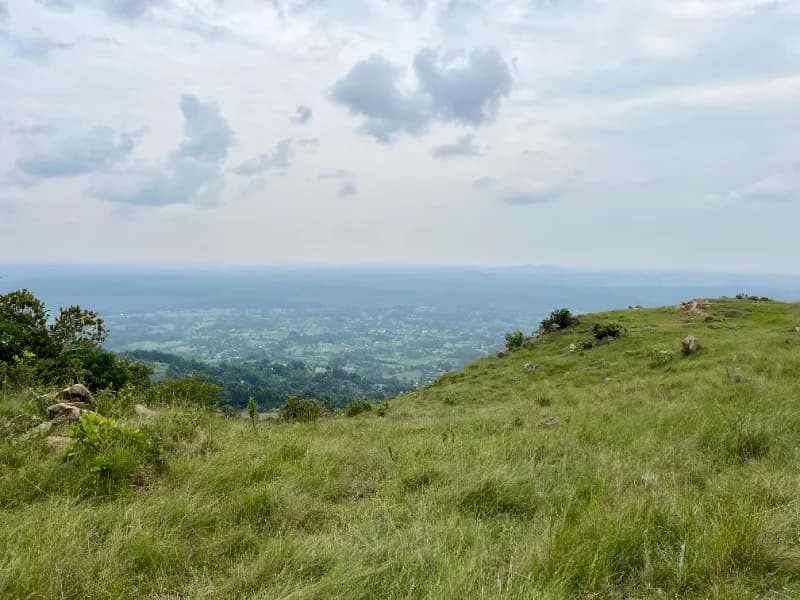 Kampi ya Lucki - Kakamega Forest Residency, photo 9