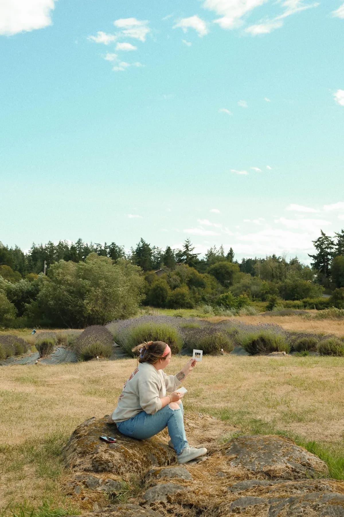 Community Artist Residencies on San Juan Island, photo 5