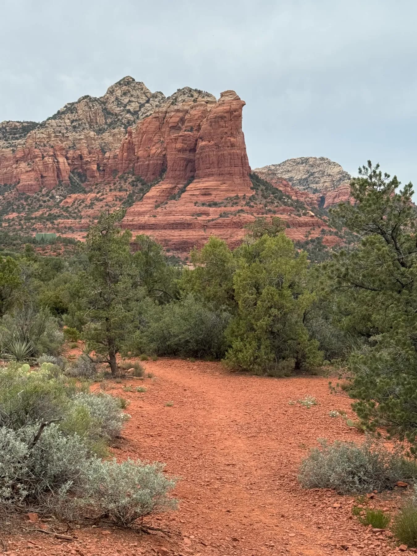 Swap a free stay for a large painting or photograph of the desert (oil, pastel or different medium, photo 9