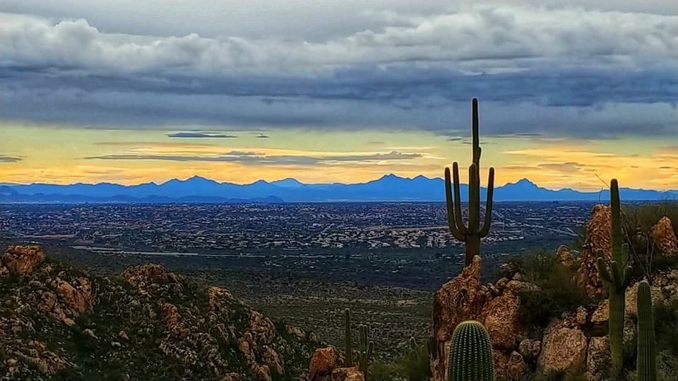 Swap a free stay for a large painting or photograph of the desert (oil, pastel or different medium, photo 7