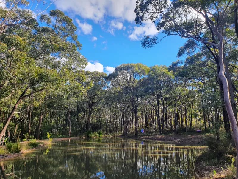 Hosted Artist Residencies on the edge of Wollemi Wilderness, near Sydney, Australia