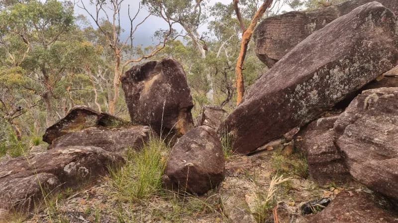 Hosted Artist Residencies on the edge of Wollemi Wilderness, near Sydney, Australia, photo 4